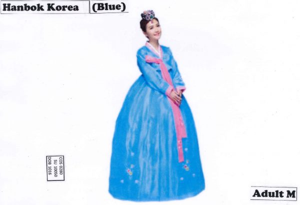 Korean Traditional Dress Adults - Image 3