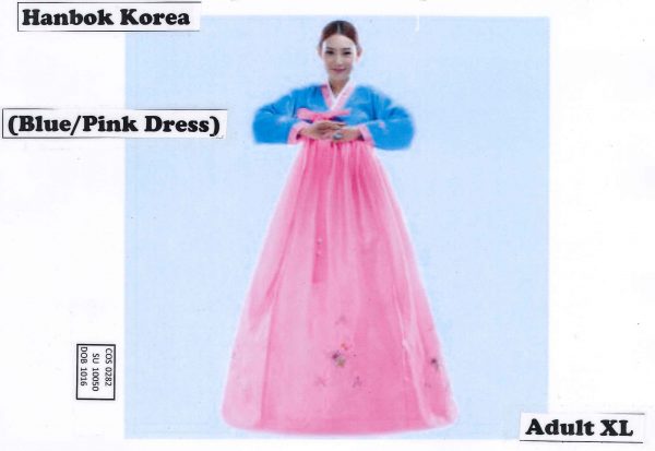 Korean Traditional Dress Adults - Image 4